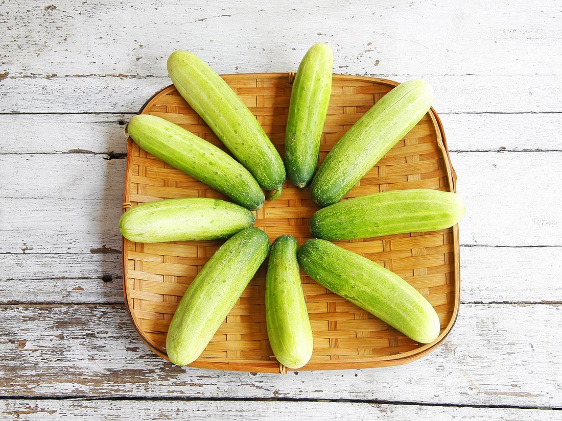 qode interactive strata